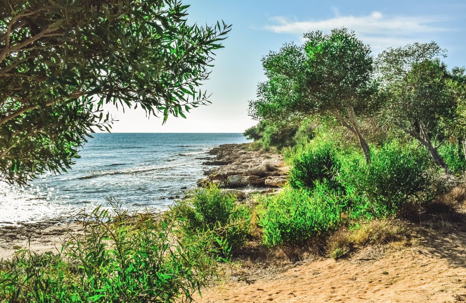 Nikon D3300 sample photo. Beach, trees, sea photography
