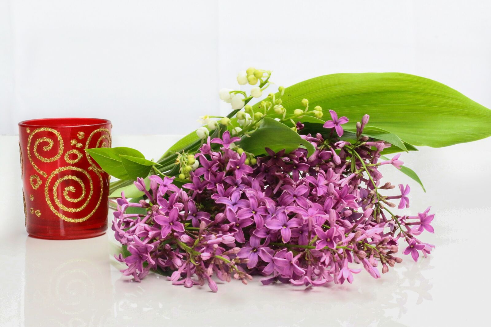 Canon EOS 70D + Canon EF 50mm F1.8 STM sample photo. Thrush, lilac, flower photography
