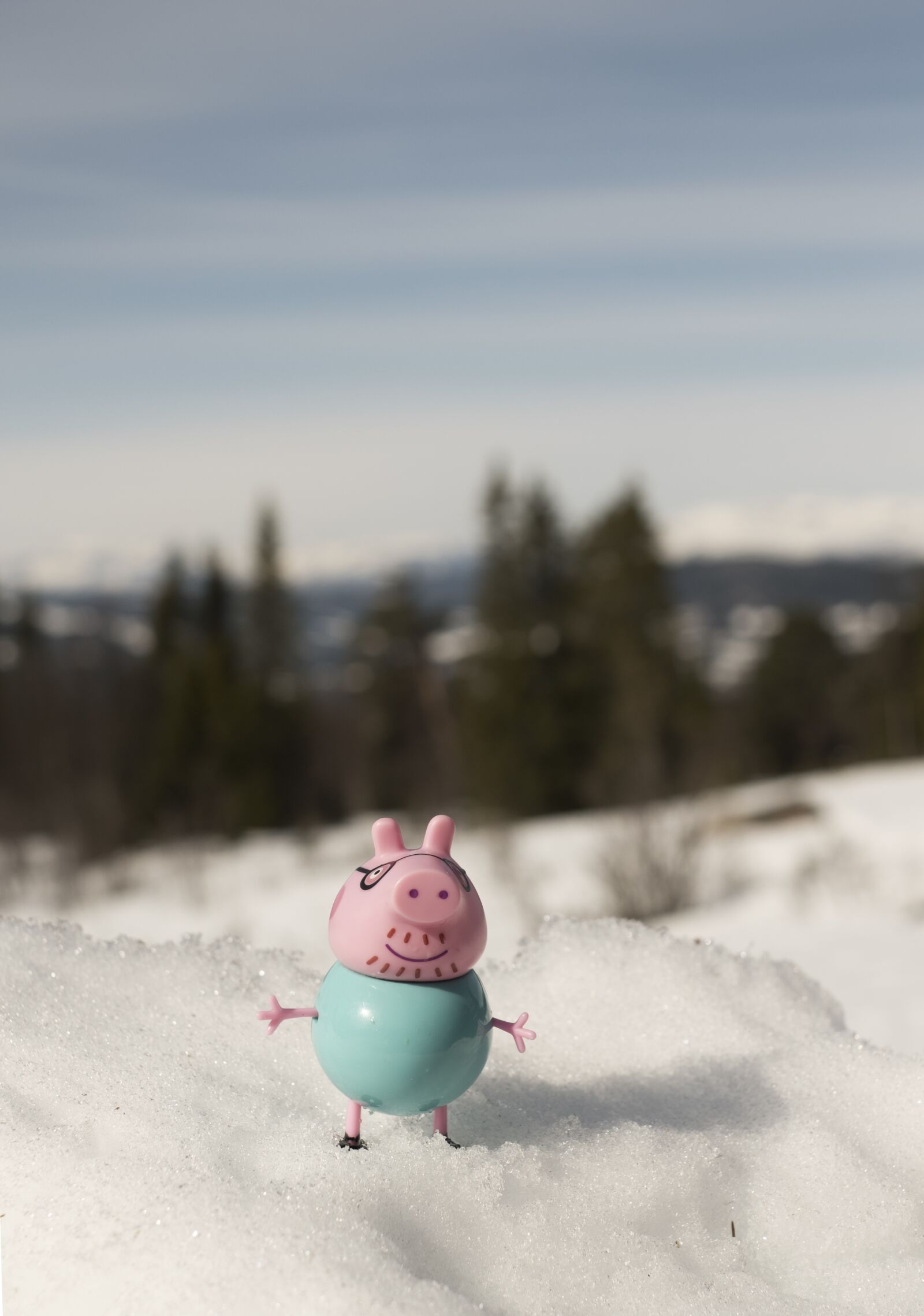 Fujifilm XF 35mm F1.4 R sample photo. Daddy pig, peppa pig photography