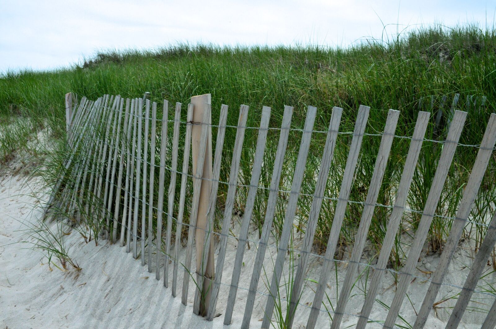 Nikon D300 sample photo. Dunes, sand, beach photography