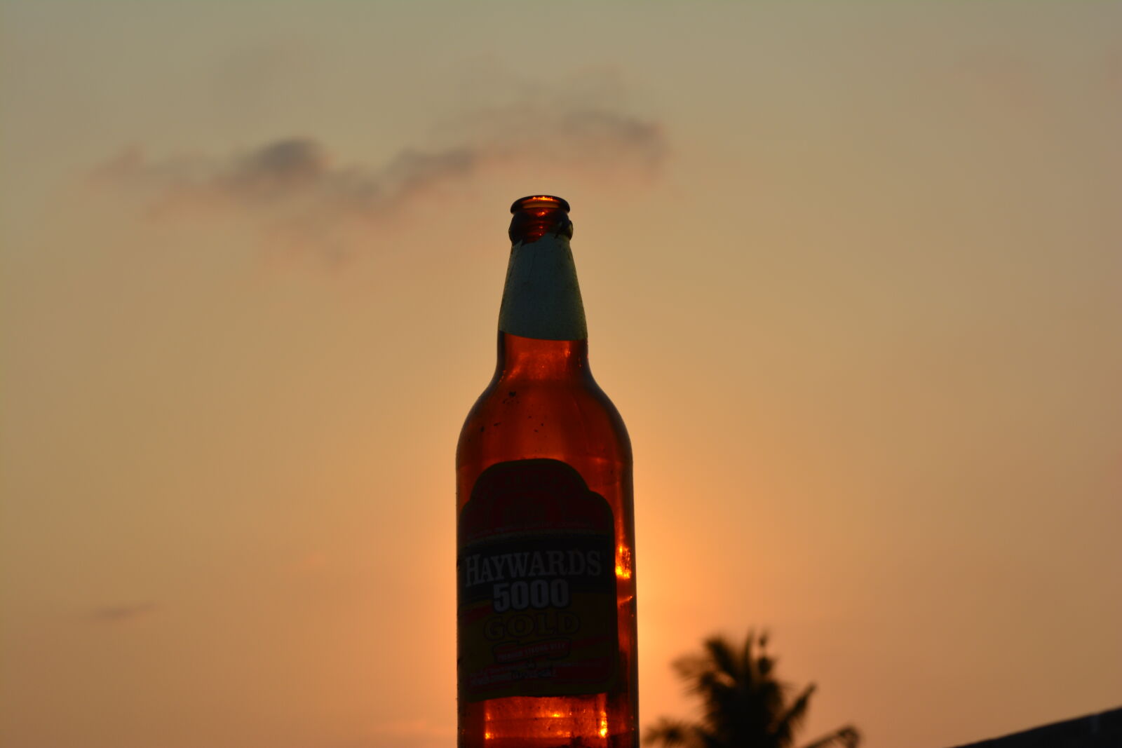 Nikon D5200 sample photo. Beer, party, sunset, weekend photography