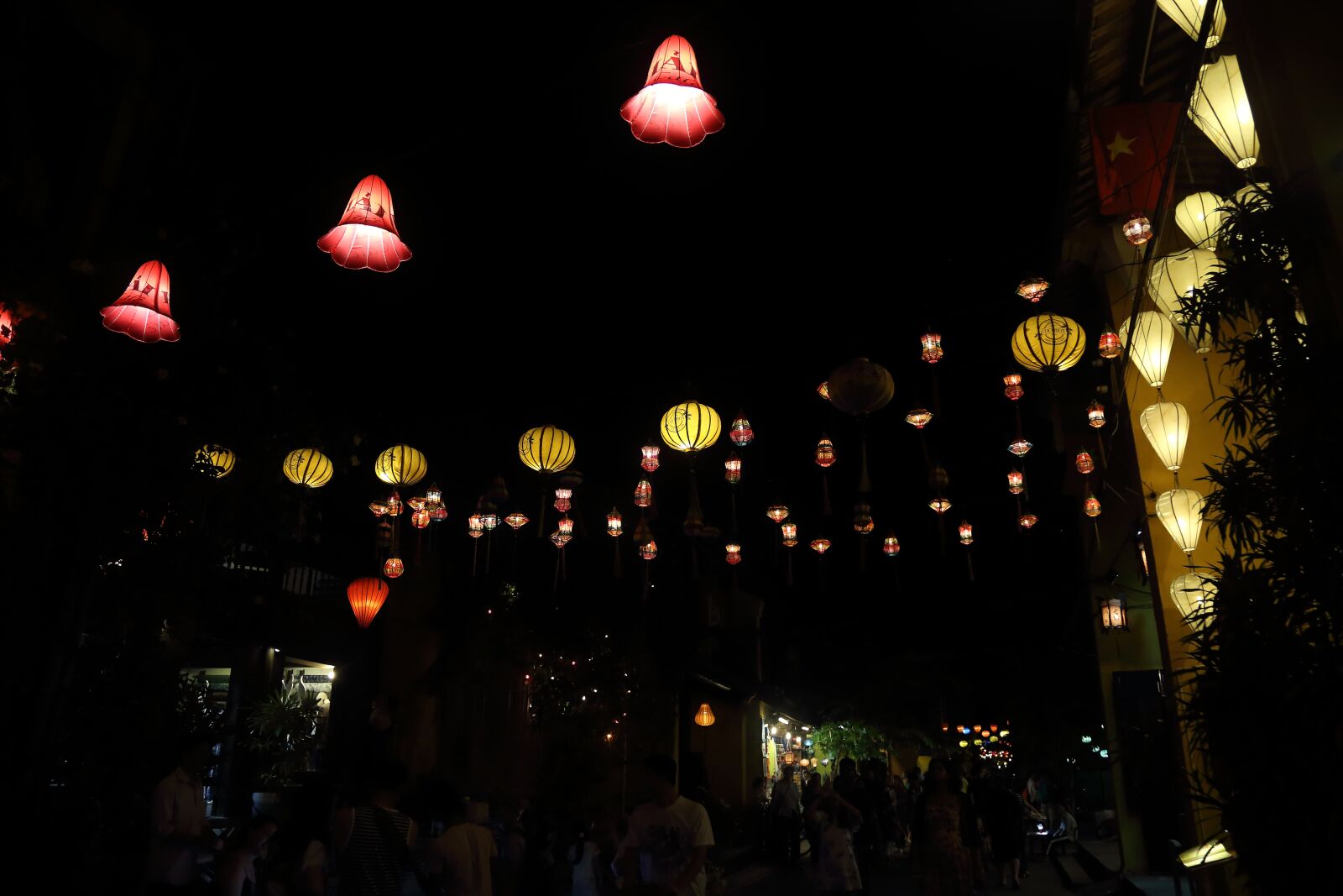 Canon EOS 6D + Canon EF 24-105mm F4L IS USM sample photo. Vietnam, nightlife, hoi an photography