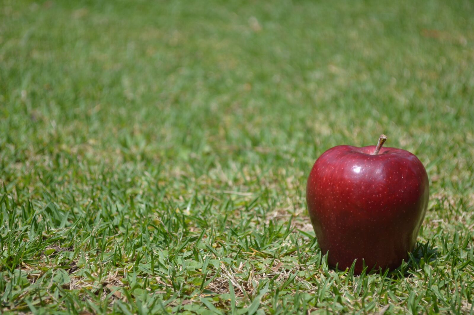 Nikon D3200 sample photo. Apple, fruit, food photography