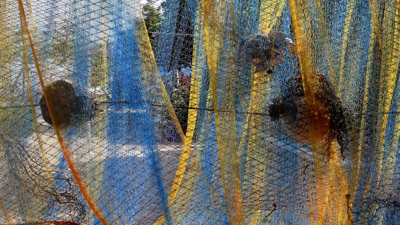 Panasonic Lumix DMC-GX85 (Lumix DMC-GX80 / Lumix DMC-GX7 Mark II) sample photo. Net, fishing, blue photography