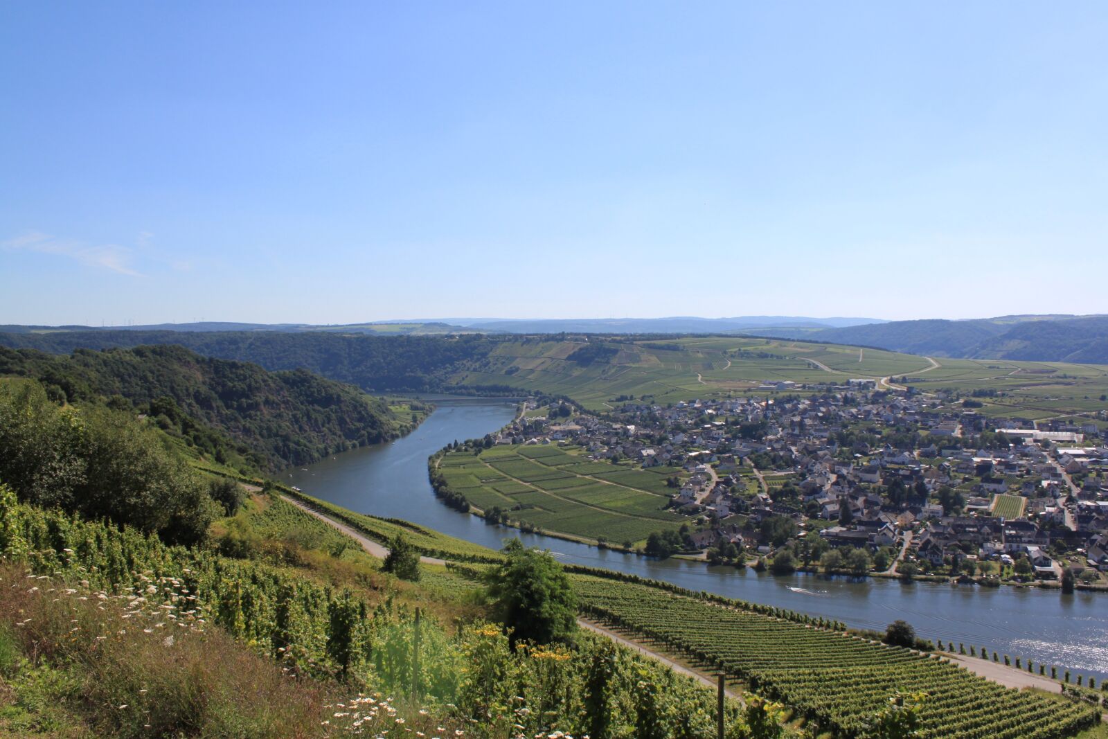 Canon EOS 500D (EOS Rebel T1i / EOS Kiss X3) sample photo. Mosel, landscape, vines photography