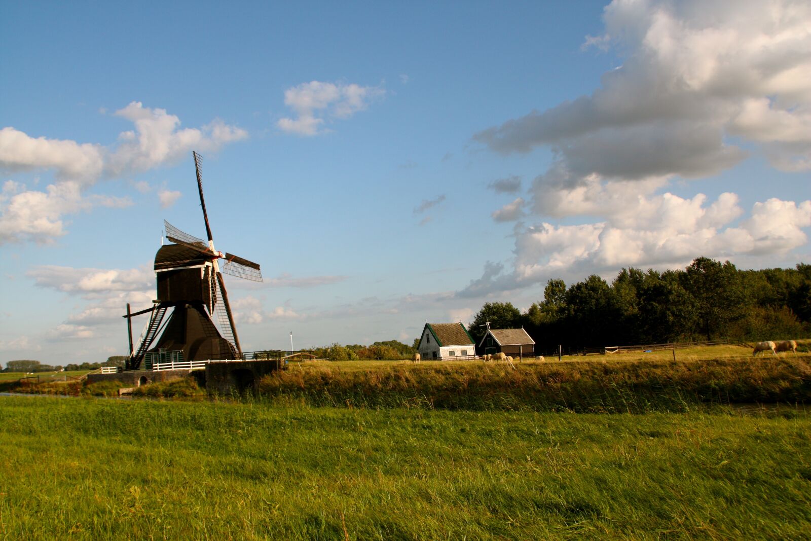 Canon EOS 450D (EOS Rebel XSi / EOS Kiss X2) sample photo. Holland, dutch, netherlands photography