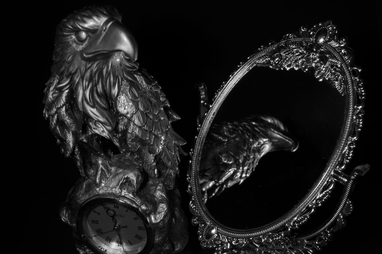 Sony SLT-A58 sample photo. Reflection, mirror, eagle photography