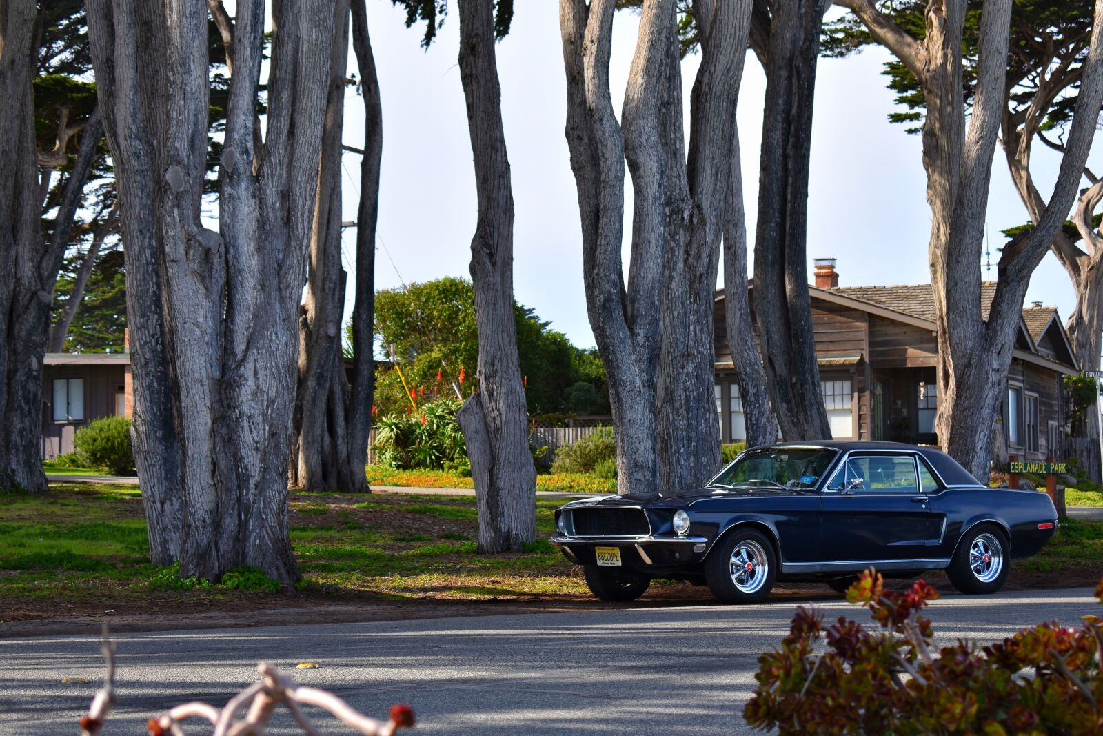Nikon D3400 sample photo. Ford, mustang photography