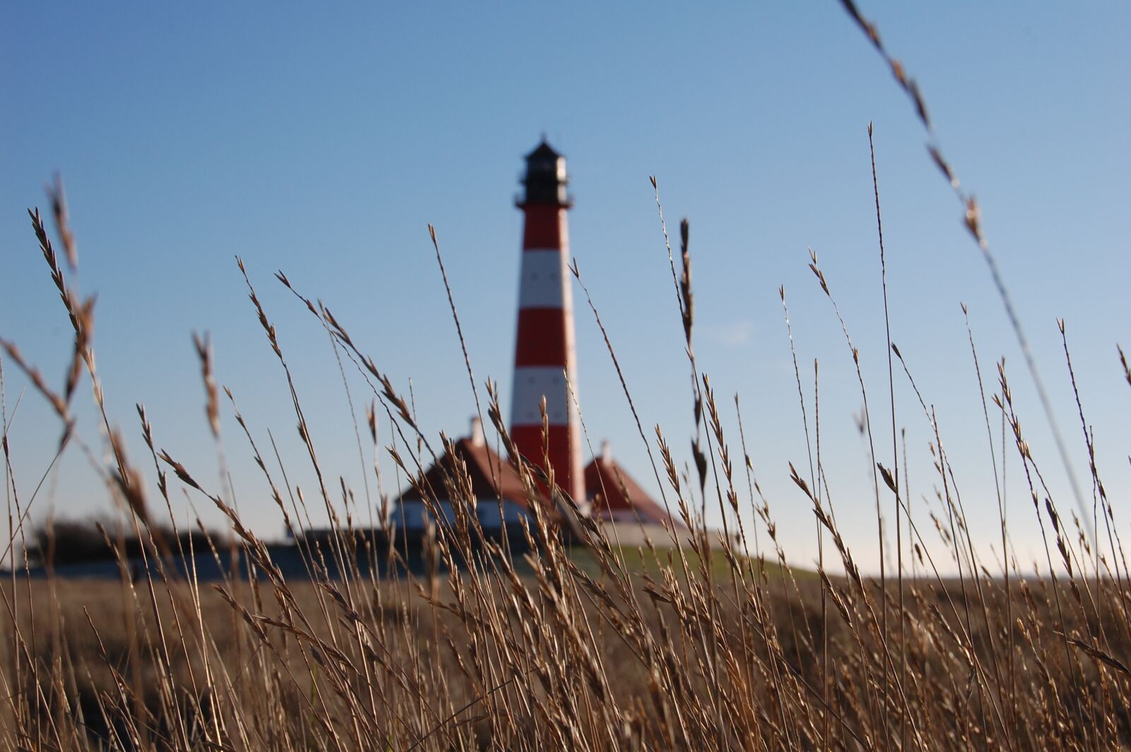 Nikon D40 sample photo. Lighthouse, field, grass photography
