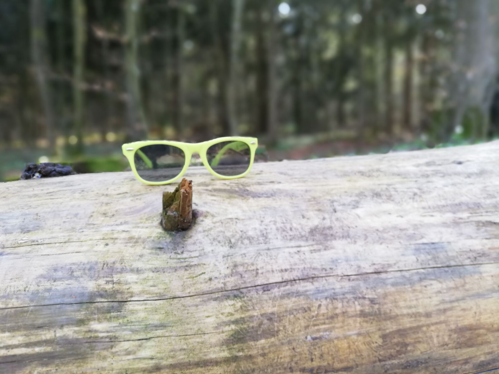 HUAWEI P20 lite sample photo. Sunglasses, forest, log photography