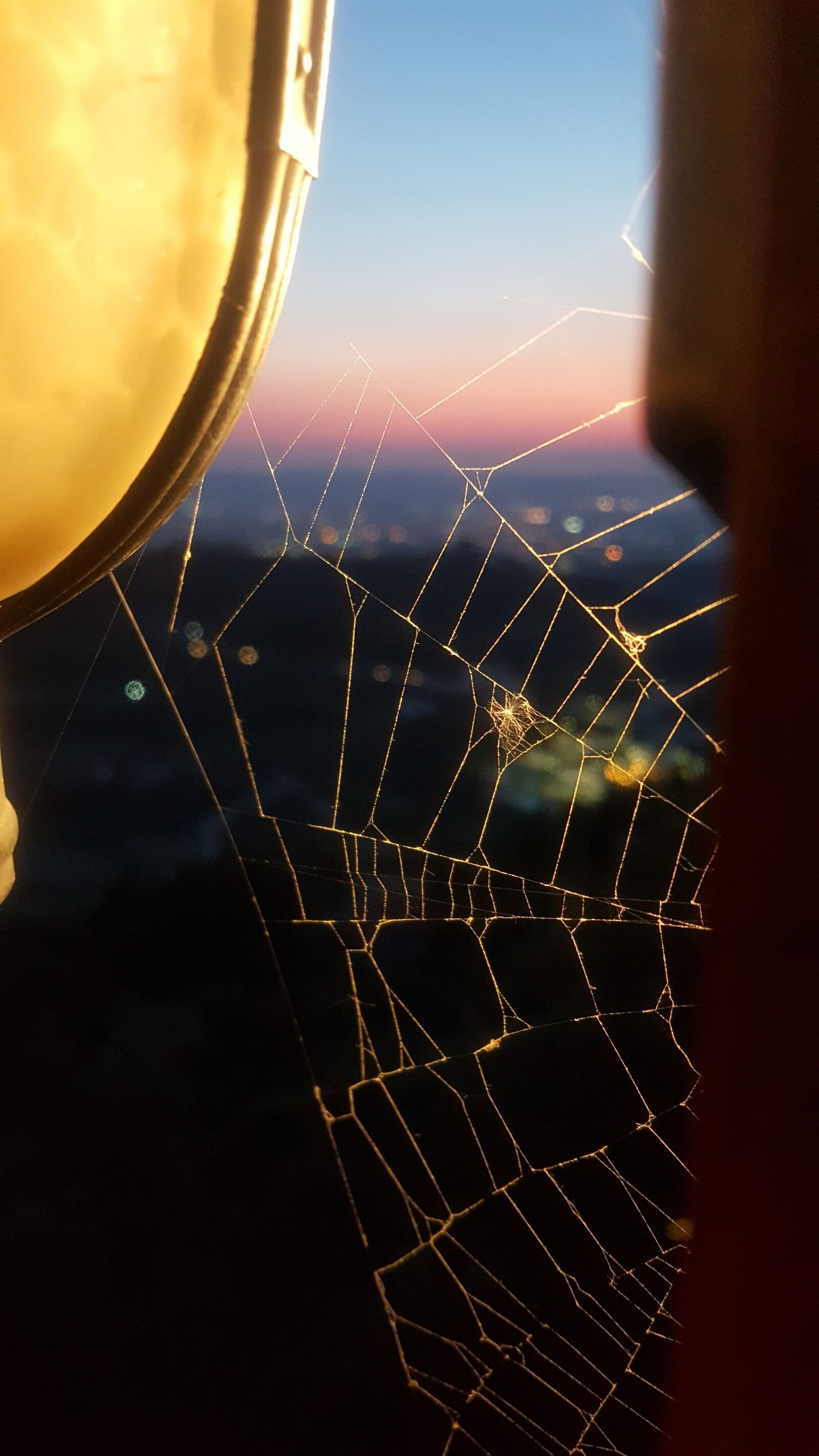 Samsung Galaxy Note5 sample photo. Spider, web, sunset photography