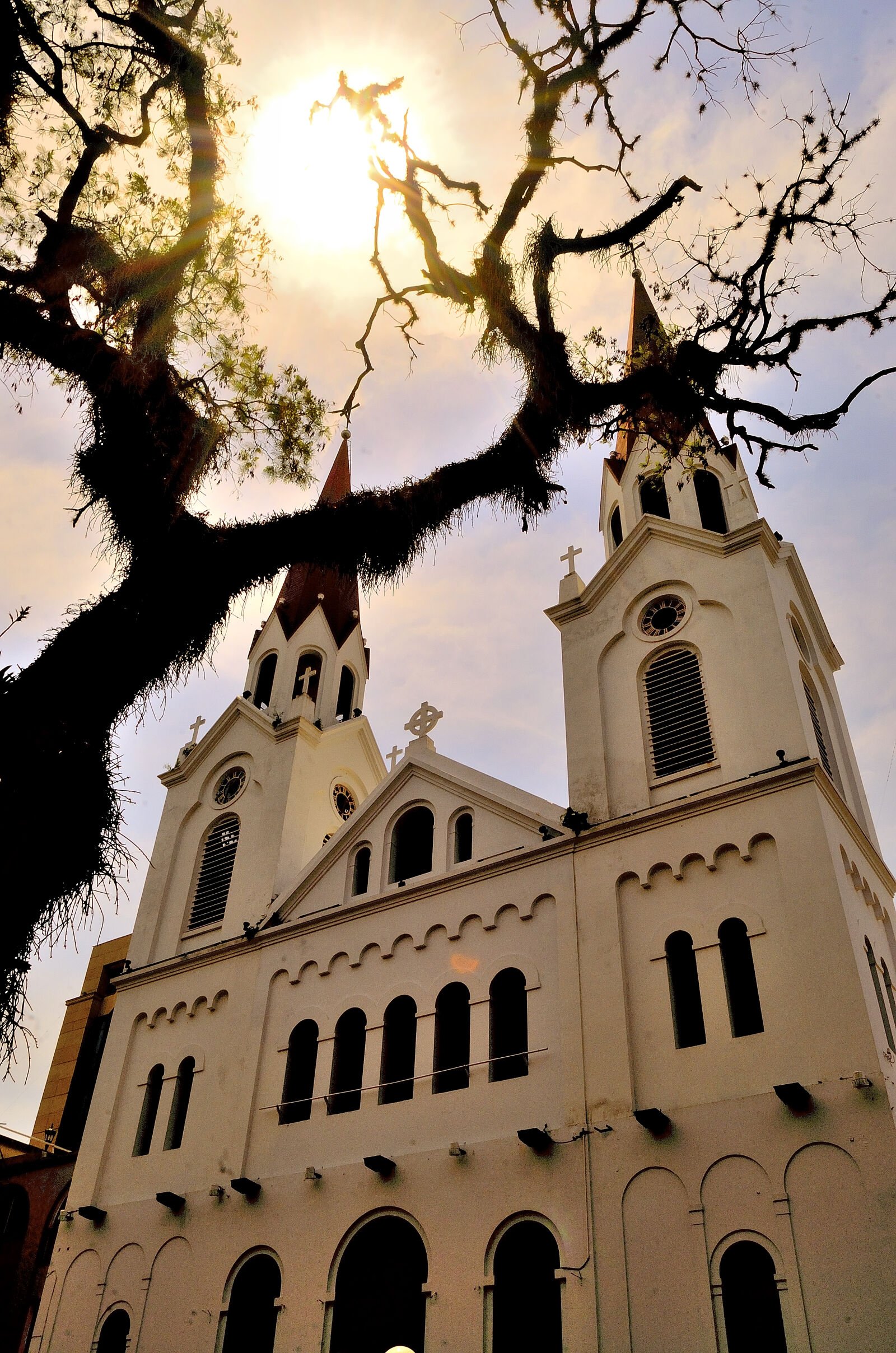 Nikon D5100 sample photo