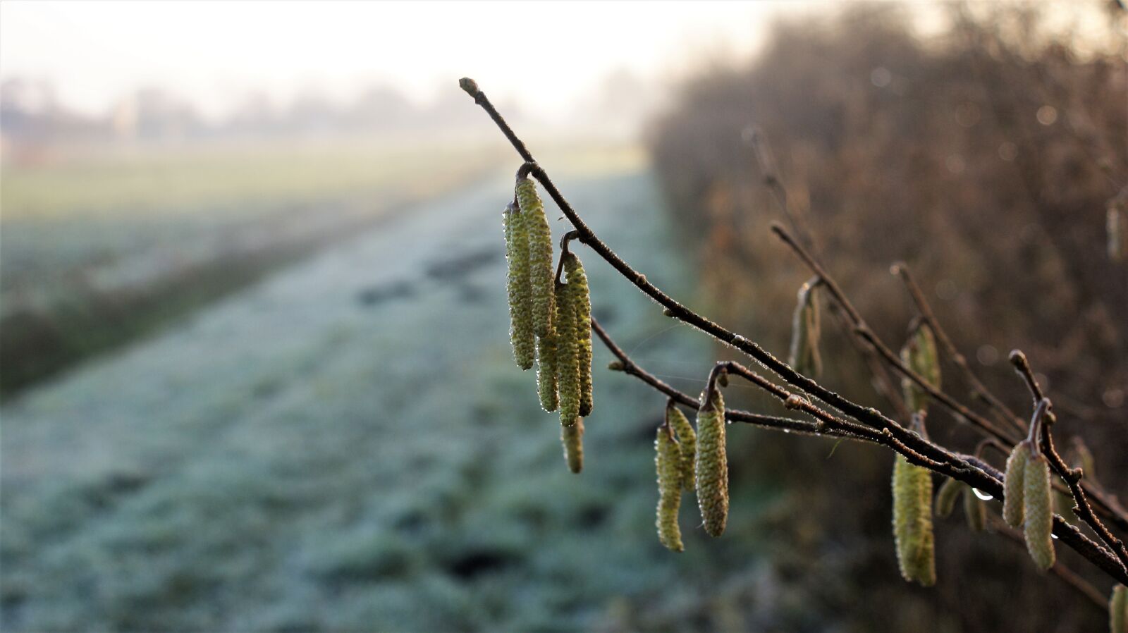 Sony Alpha DSLR-A350 sample photo. You can find the photography