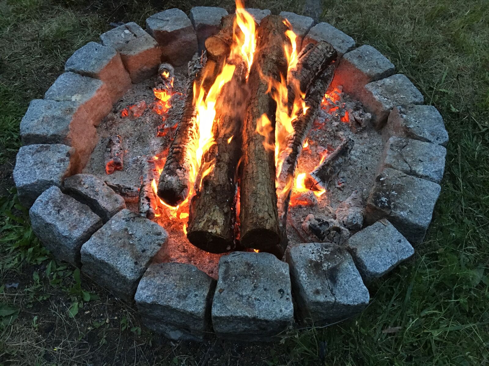 Apple iPhone 6s sample photo. Fire, wood, campfire photography