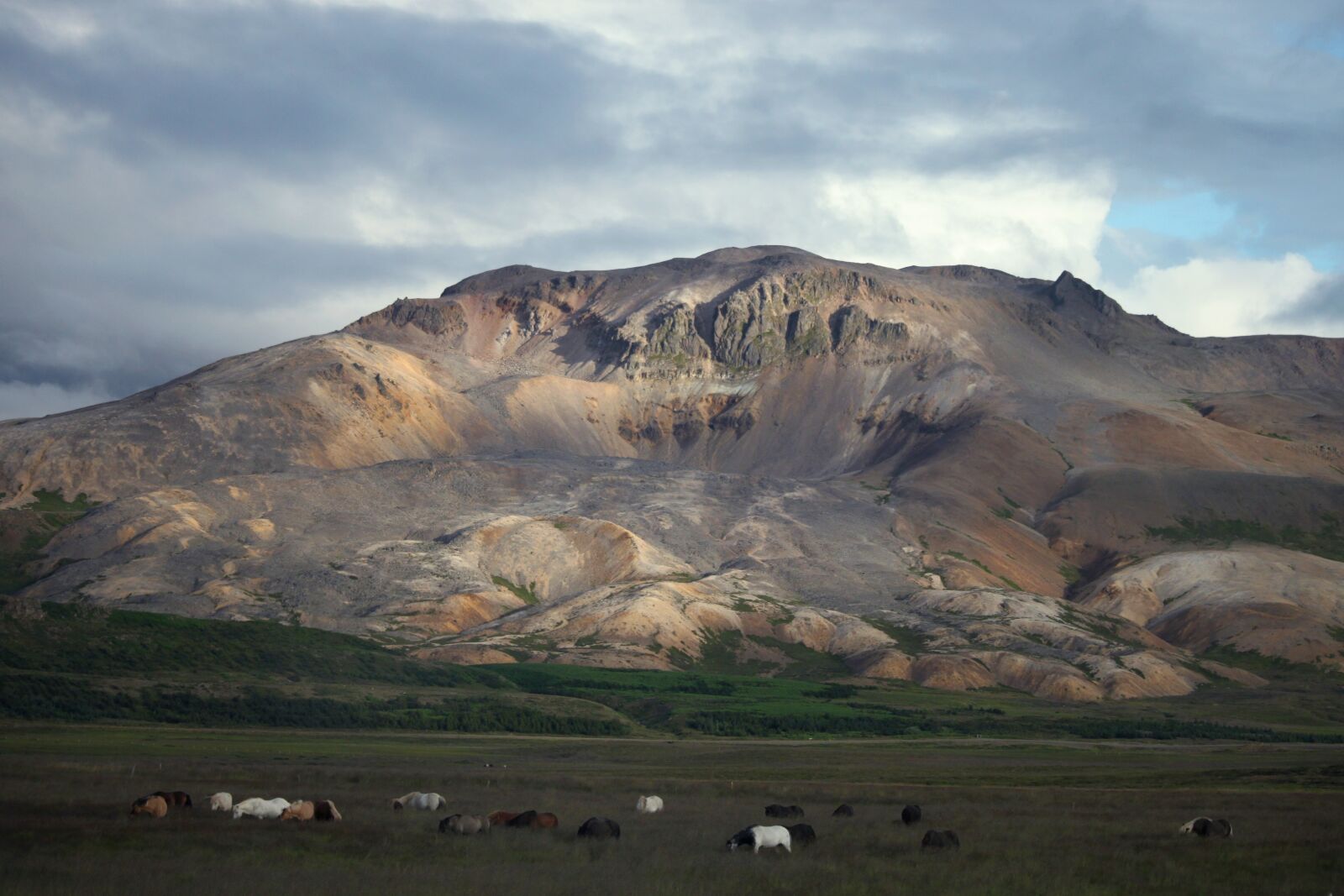 Canon EOS 500D (EOS Rebel T1i / EOS Kiss X3) sample photo. Mountain, field, horses photography