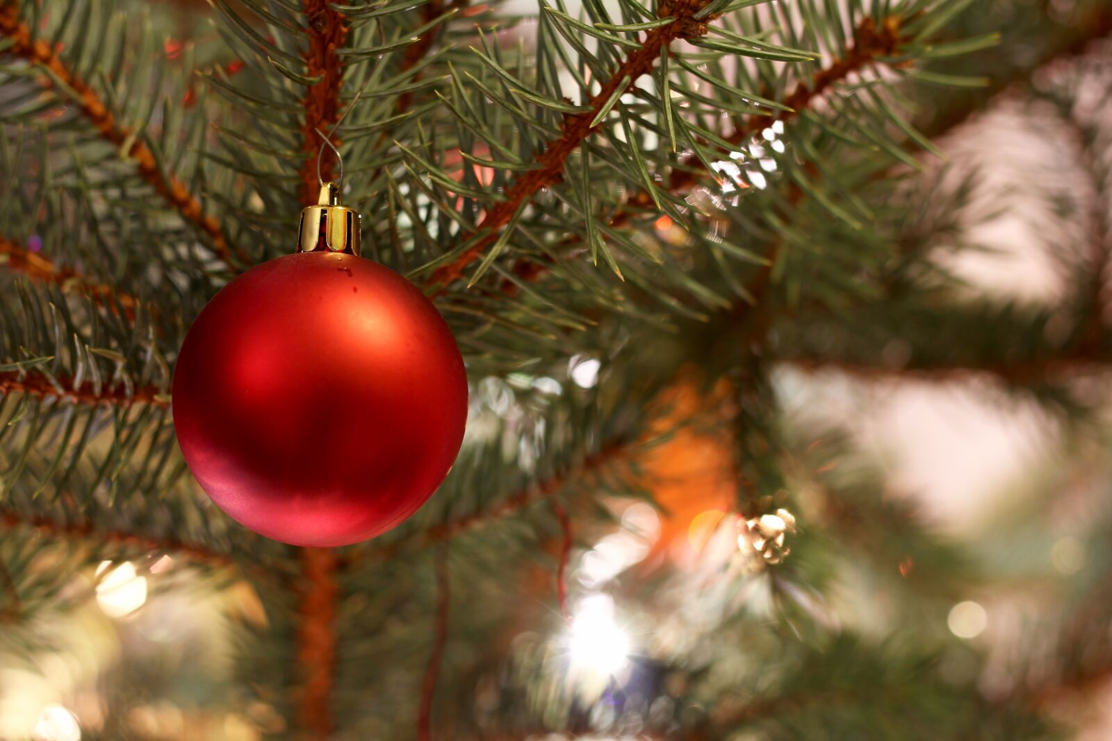 Canon EOS 60D + Canon EF 50mm F1.8 STM sample photo. Christmas, decoration, background photography