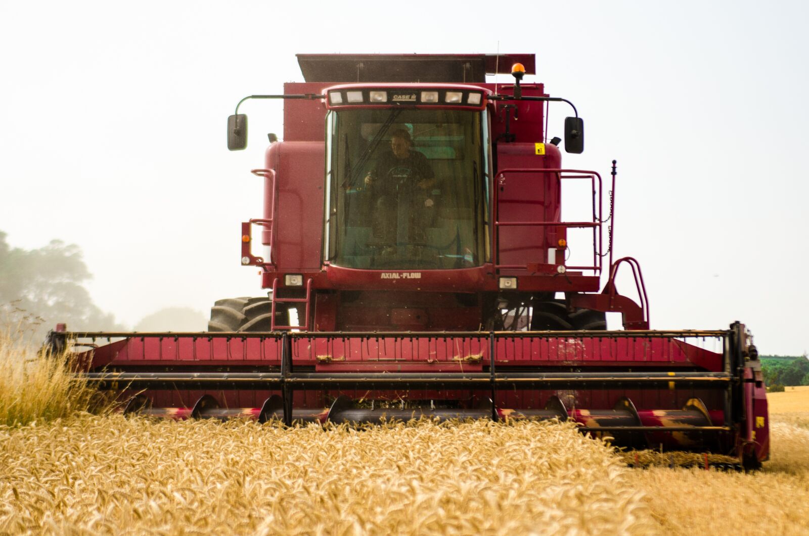Nikon D7000 sample photo. Harvester, tractor, wheat photography