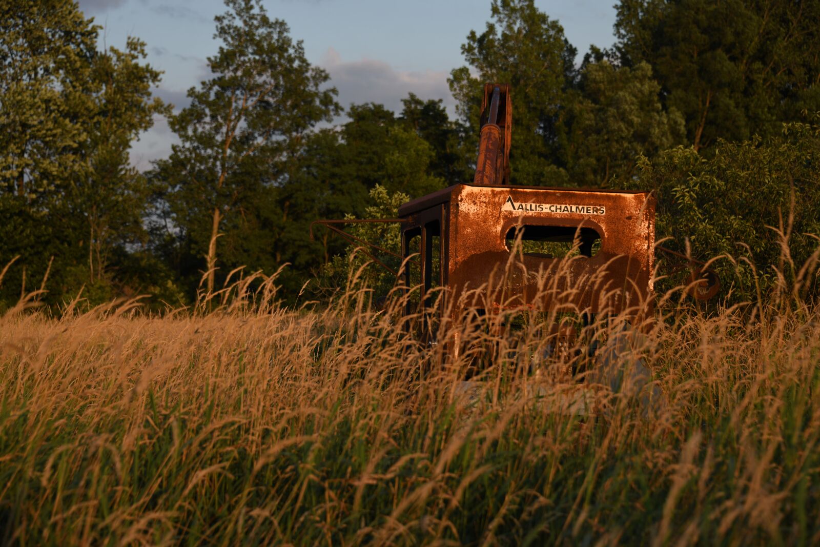 Nikon D850 sample photo. Crane, abandoned, vintage photography