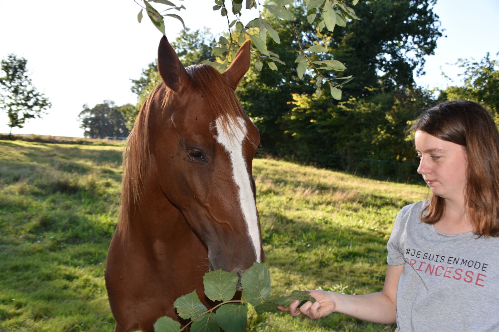 Nikon D5600 sample photo. Horse, girl, complicity photography