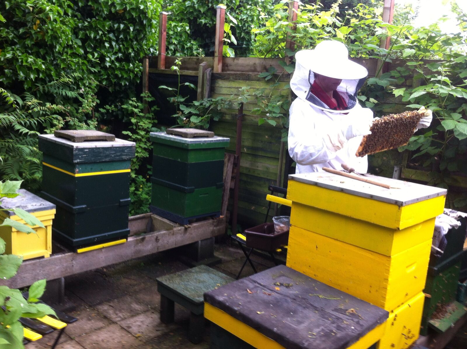 Apple iPhone 4 sample photo. Beekeeper, bees, cabinets photography