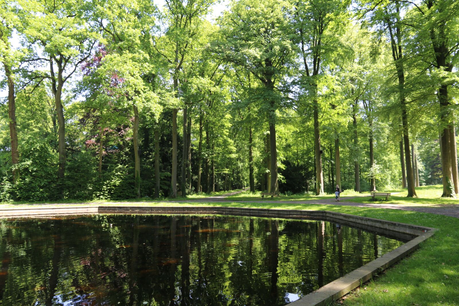 Canon EOS 70D sample photo. Nature, forest, spring photography