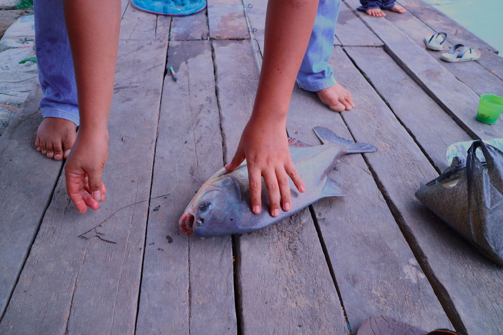 Canon EOS M3 sample photo. Ikan bawal, fishing, fish photography