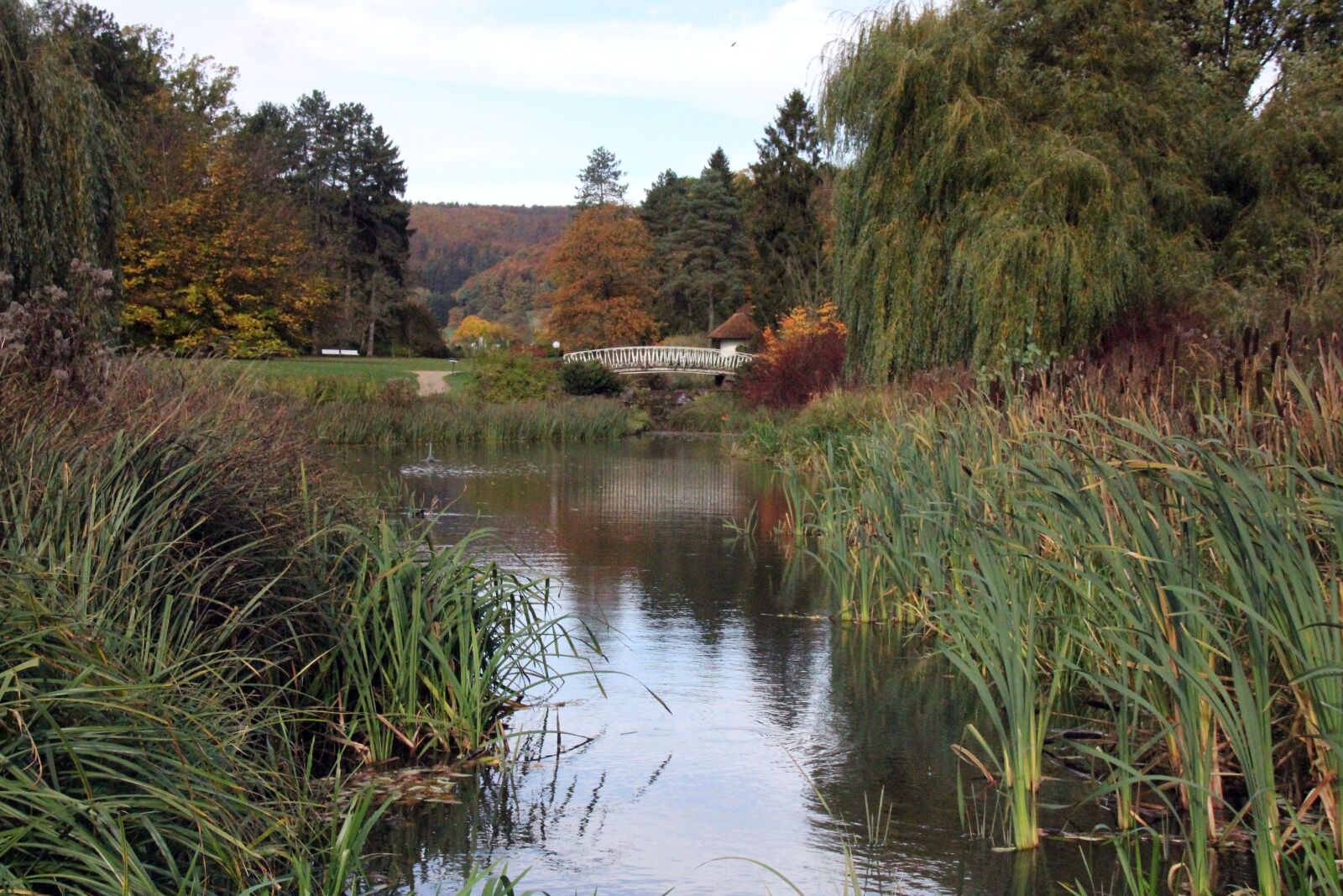 Canon EOS 550D (EOS Rebel T2i / EOS Kiss X4) sample photo. Park, kurpark, lake photography