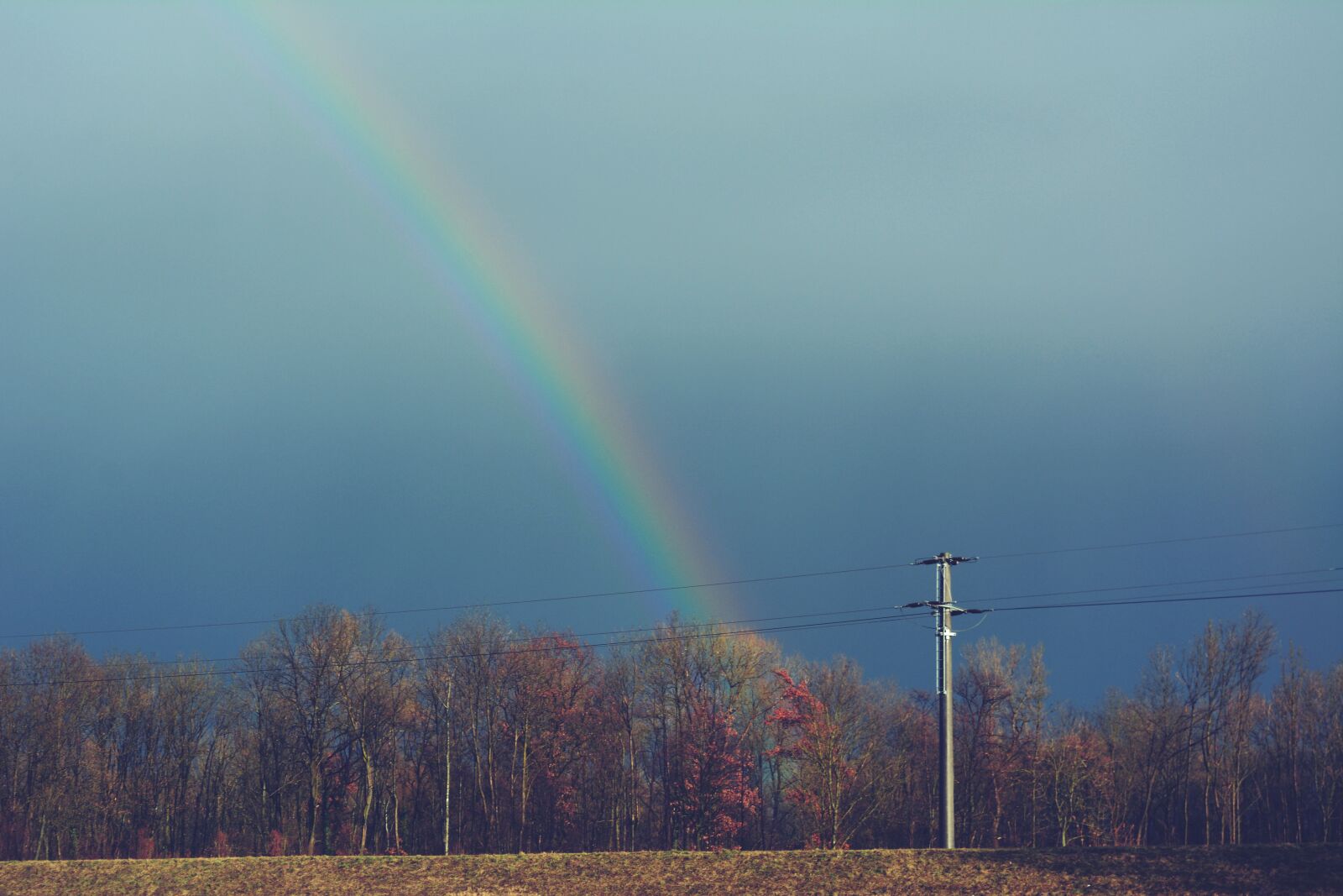 Nikon D5200 sample photo. Rainbow, clouds, forest photography