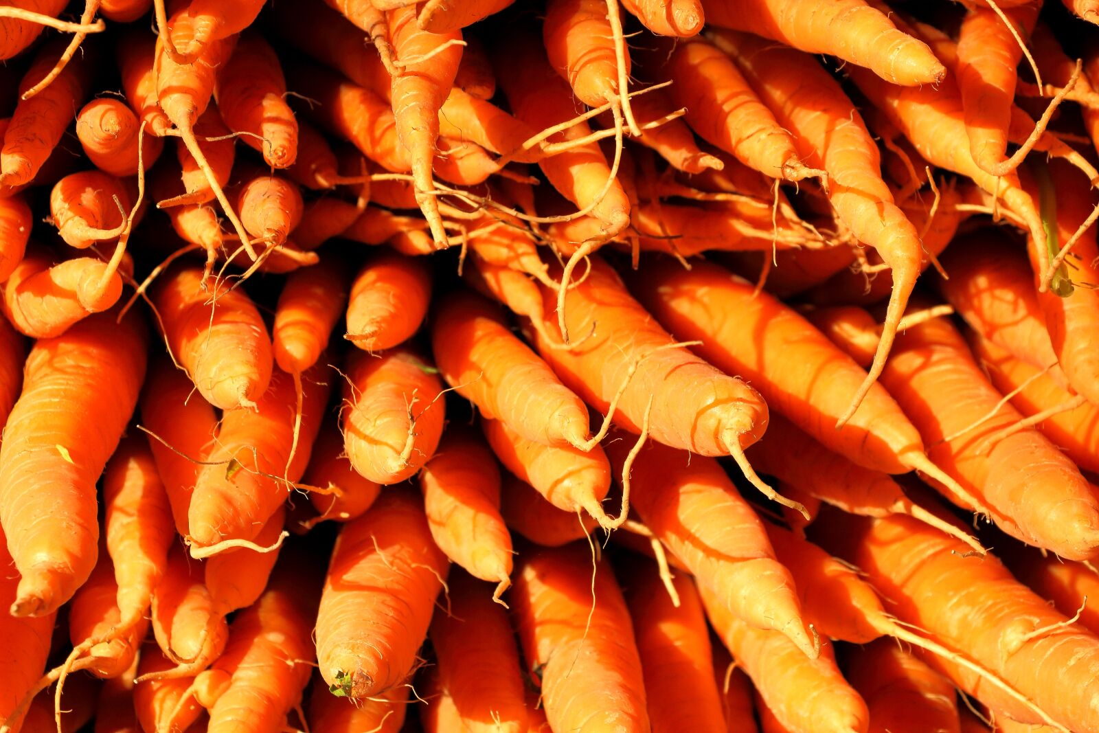 Canon EOS 700D (EOS Rebel T5i / EOS Kiss X7i) sample photo. Carrots, vegetables, food photography
