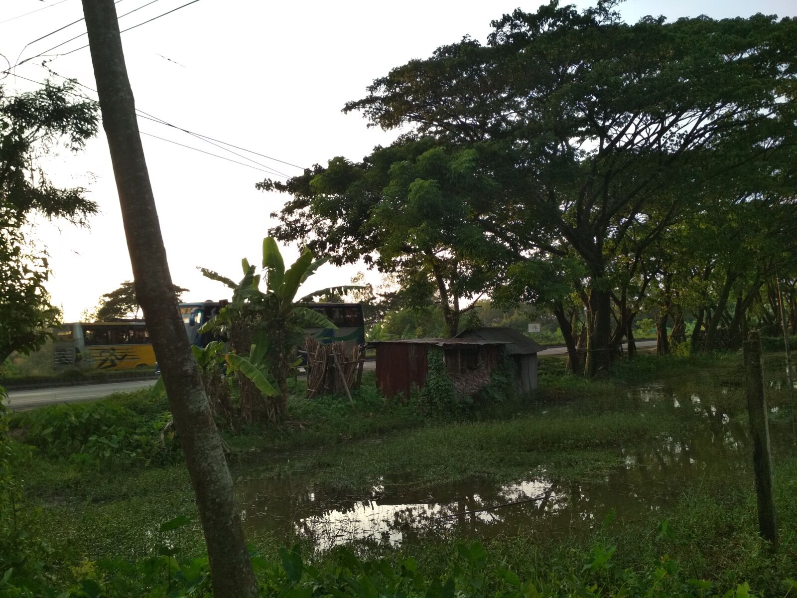 Xiaomi Redmi 4X sample photo