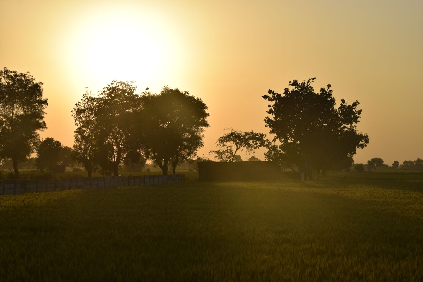 Nikon D5300 sample photo. Greenery, landscape, nature photography