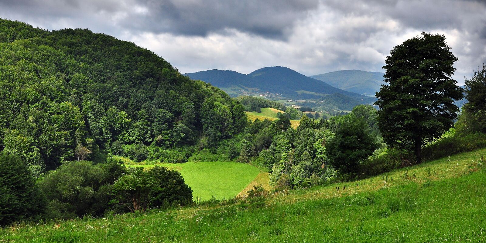 Nikon D90 sample photo. Landscape, field, meadow photography