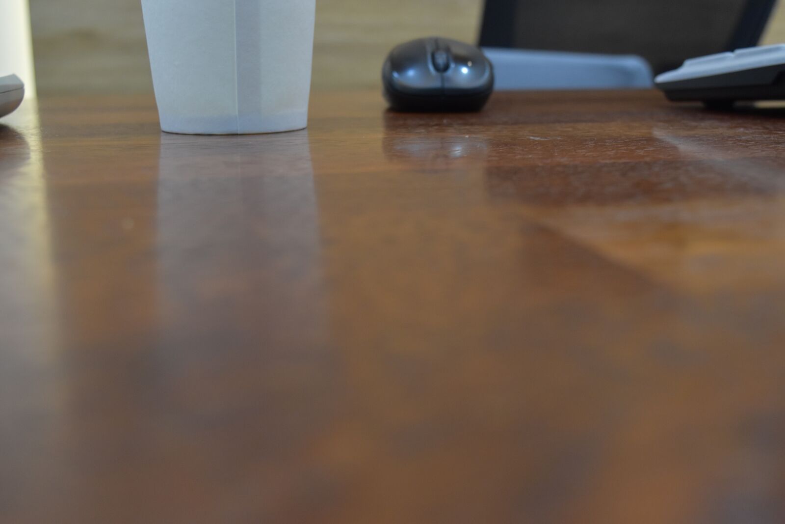 Nikon D5500 sample photo