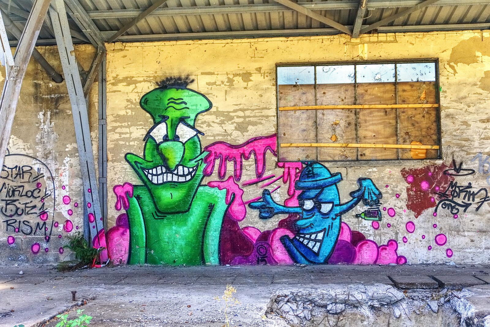 Sony a6000 sample photo. Graffiti, wall, art photography