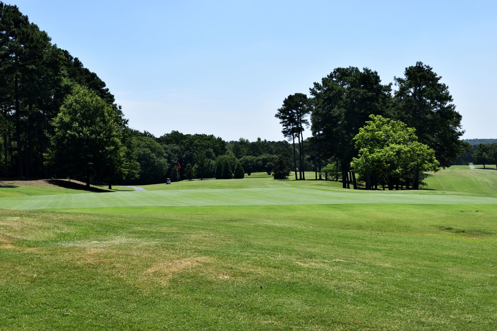 Nikon D3300 sample photo. Golf, grass, course photography