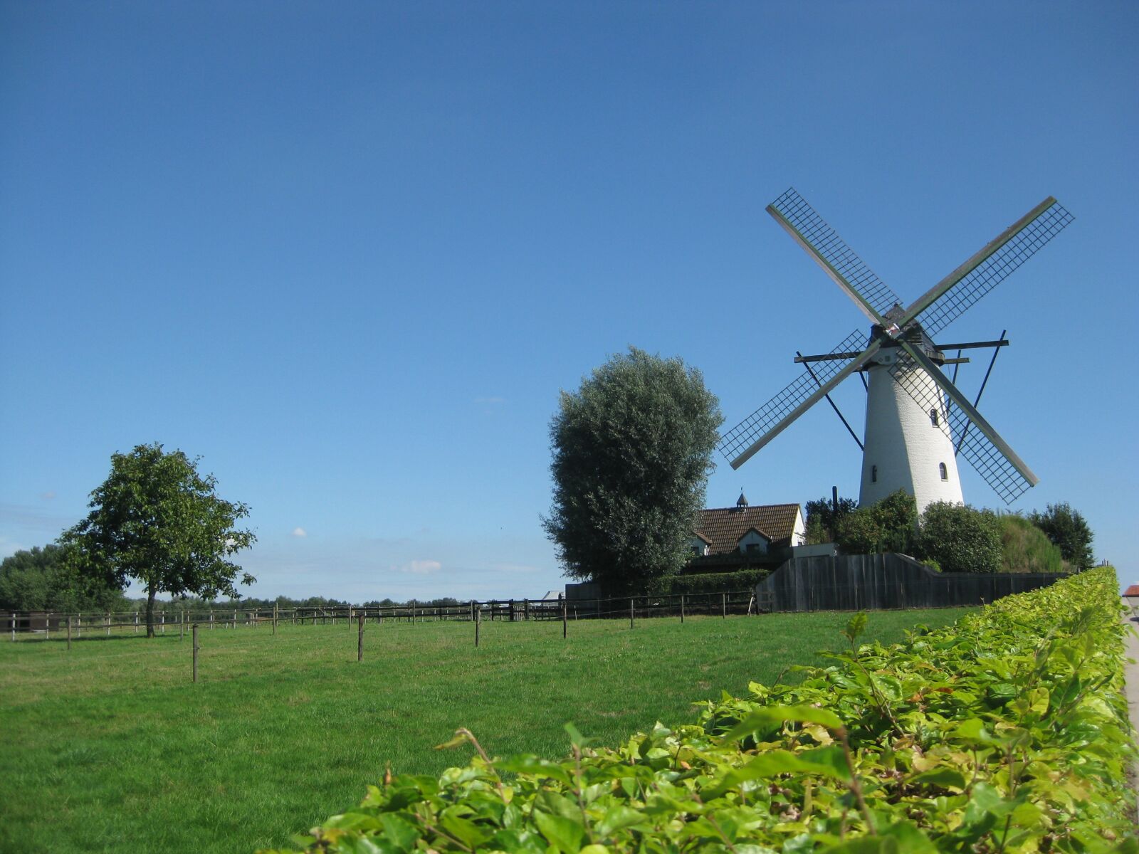 Canon PowerShot SD1100 IS (Digital IXUS 80 IS / IXY Digital 20 IS) sample photo. Wind mill, nature, blue photography