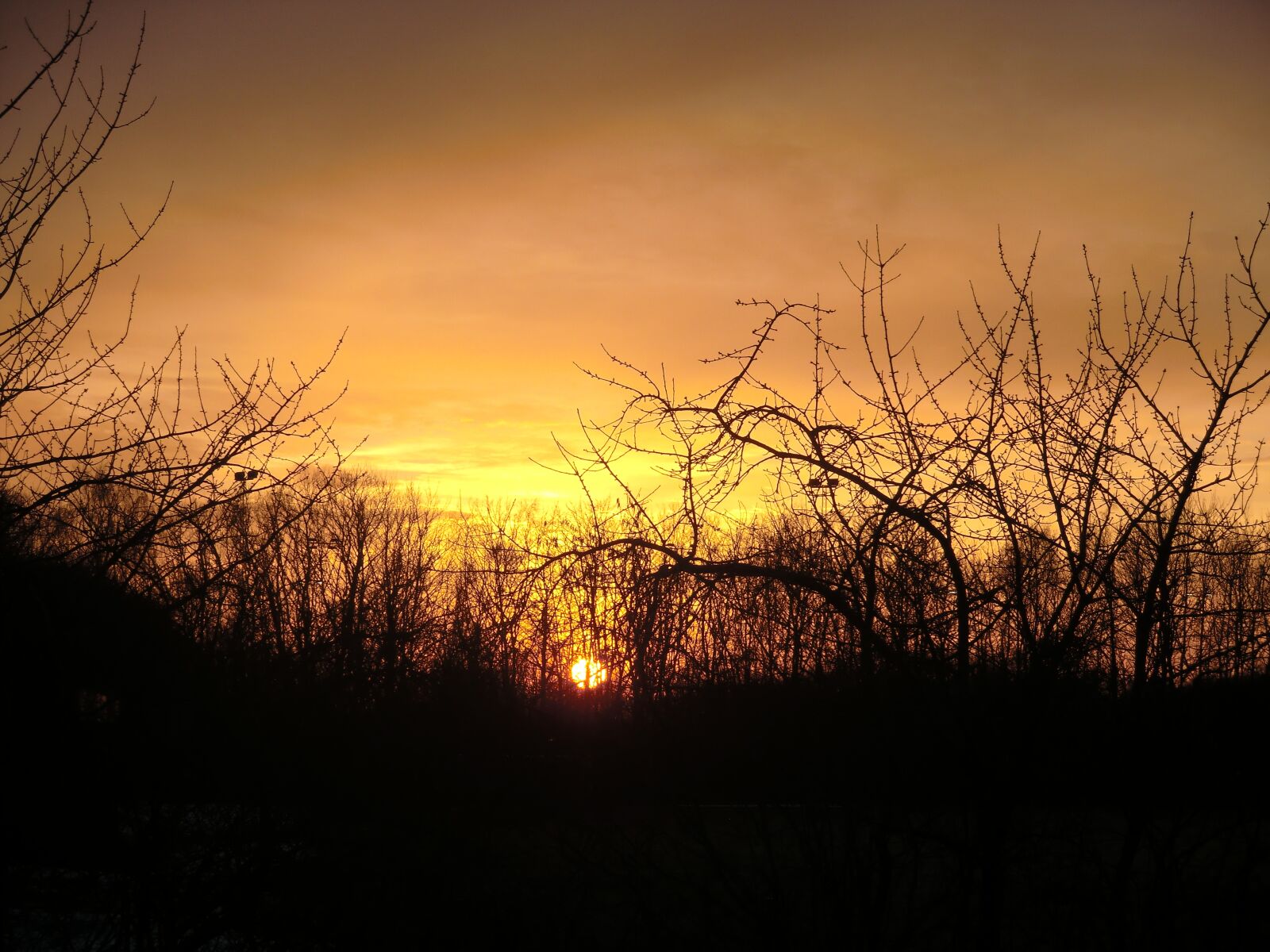 CASIO EX-H15 sample photo. Nature, sunset, park photography