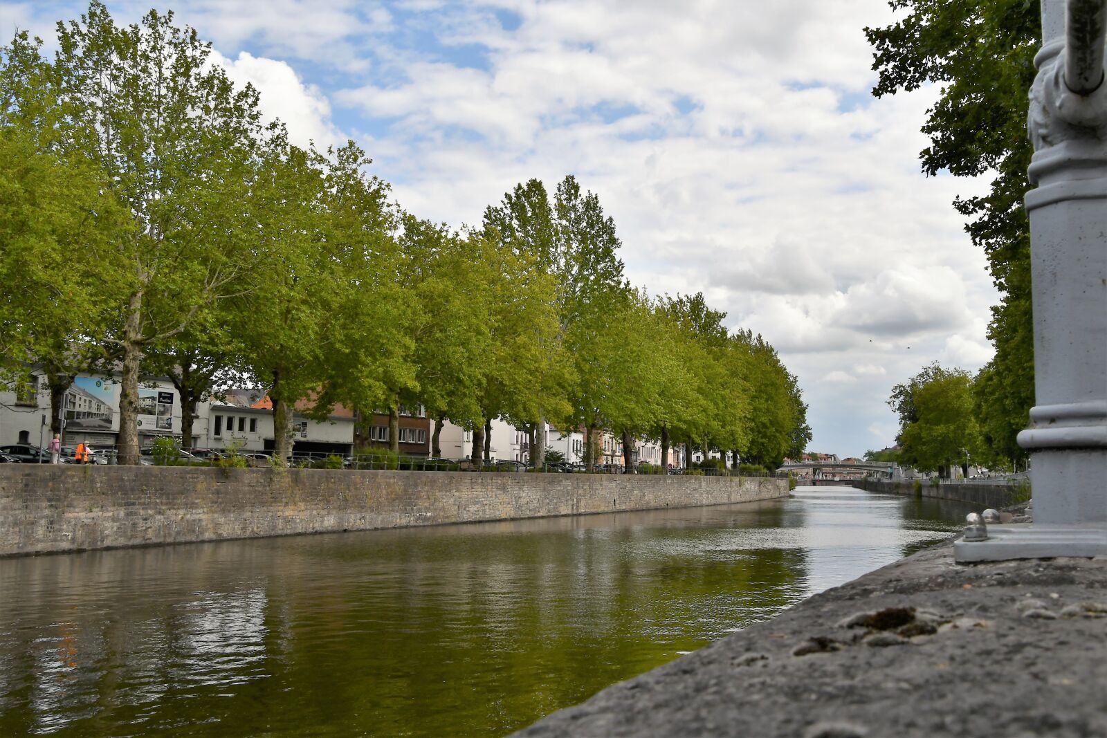 Nikon D7500 sample photo. Water, channel, tree photography