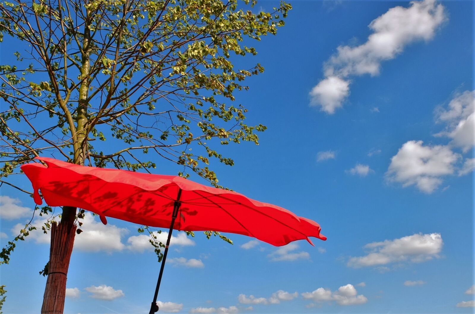 Fujifilm X10 sample photo. Screen, summer, parasol photography