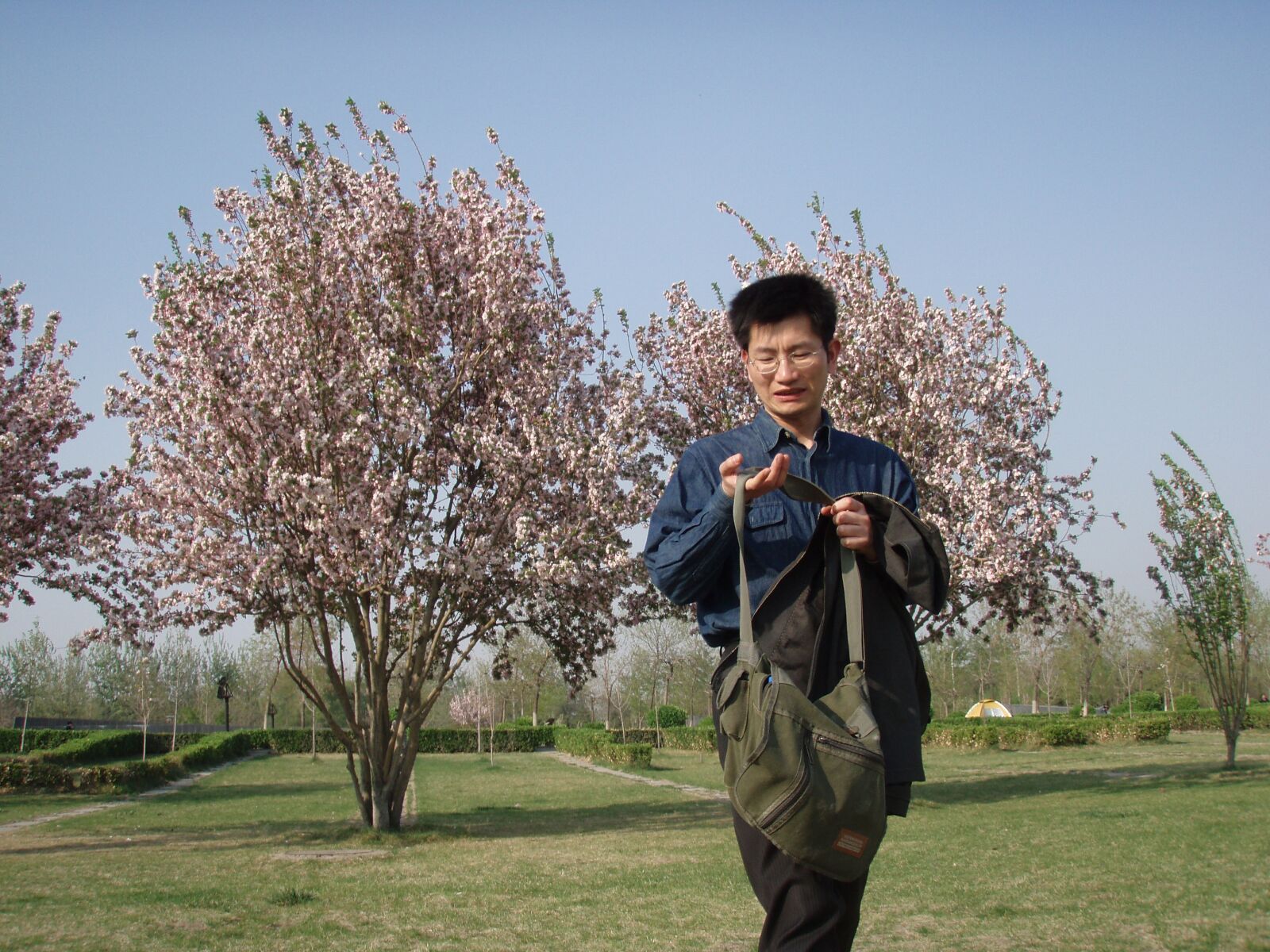 Olympus u720SW,S720SW sample photo. Cherry blossom, handsome guy photography