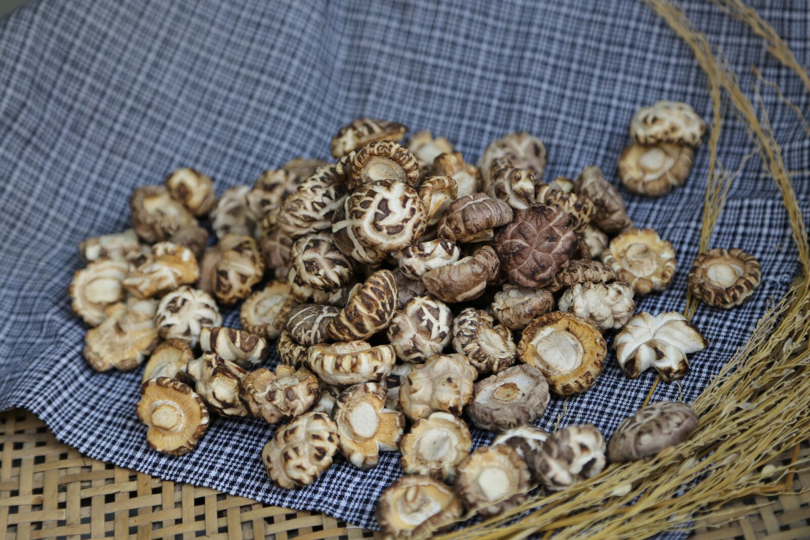 Canon EOS 6D + Canon EF 24-105mm F4L IS USM sample photo. Shiitake mushroom, the original photography