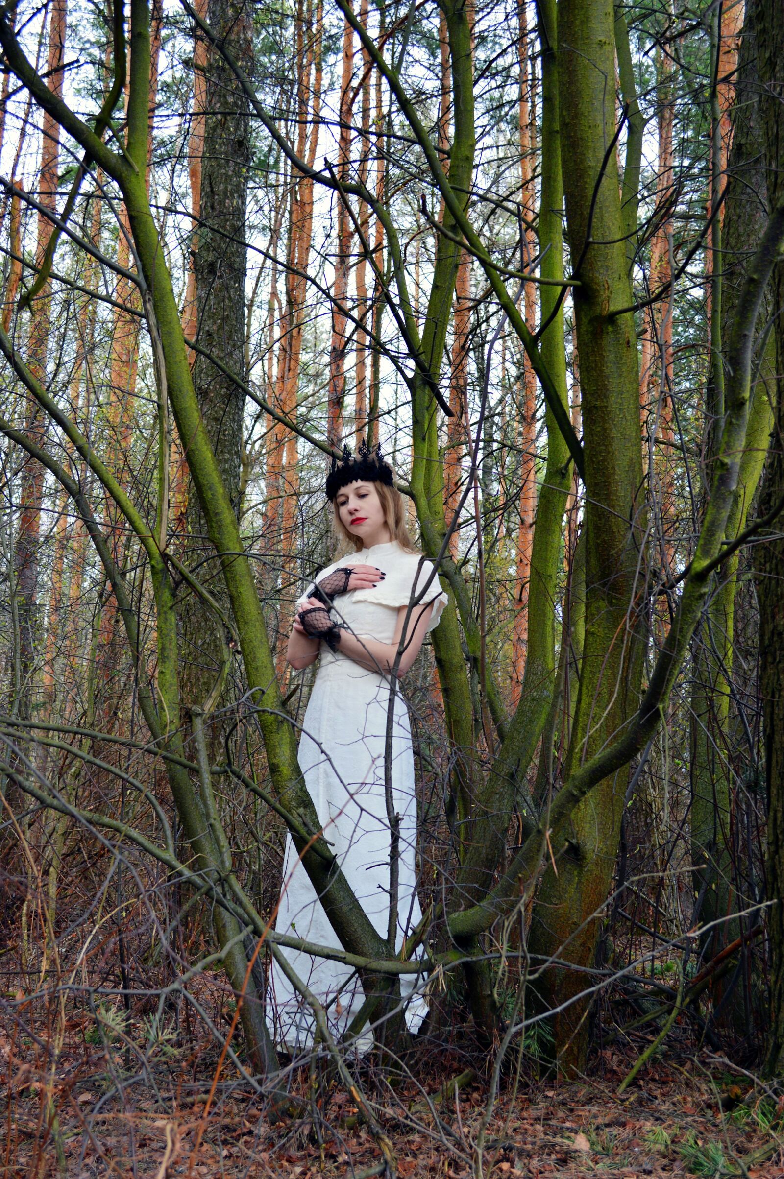 Nikon D3200 sample photo. Dark forest, the dense photography