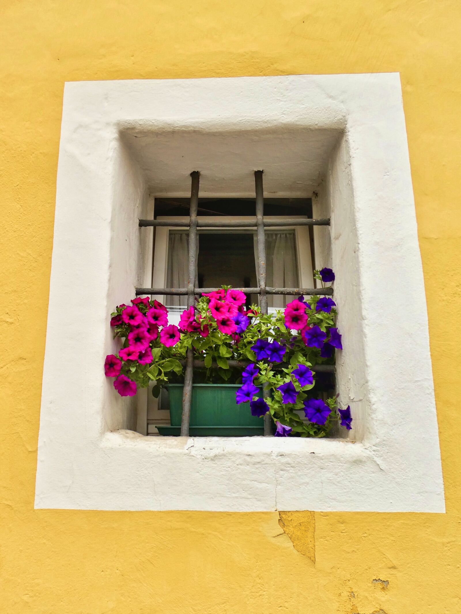 Panasonic Lumix DC-ZS70 (Lumix DC-TZ90) sample photo. Window, flowers, decoration photography
