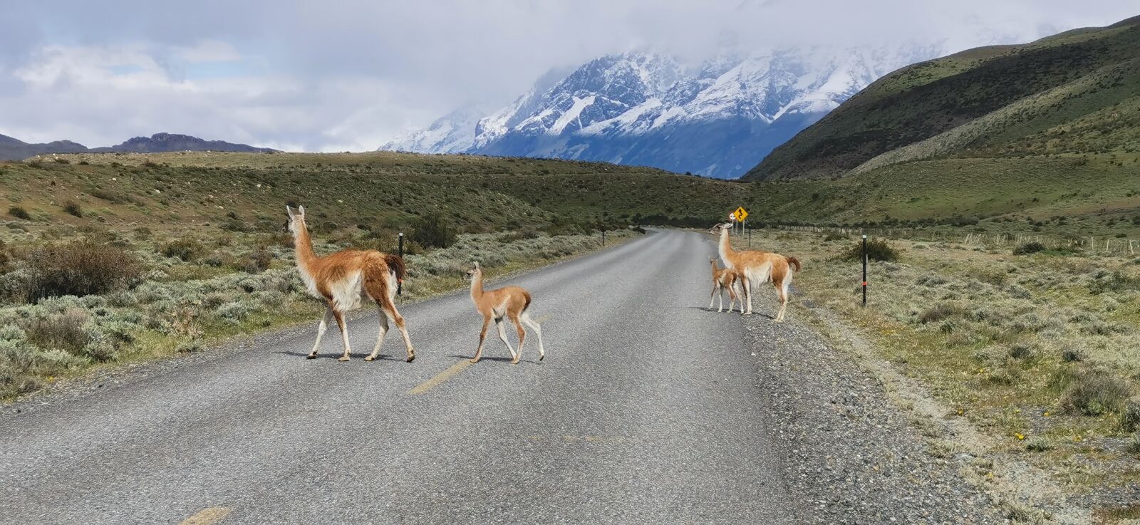 HUAWEI P30 sample photo. Chile, road, glacier photography