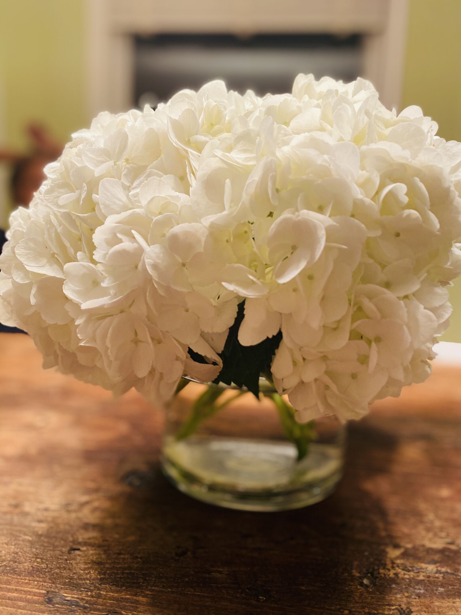 Apple iPhone 11 sample photo