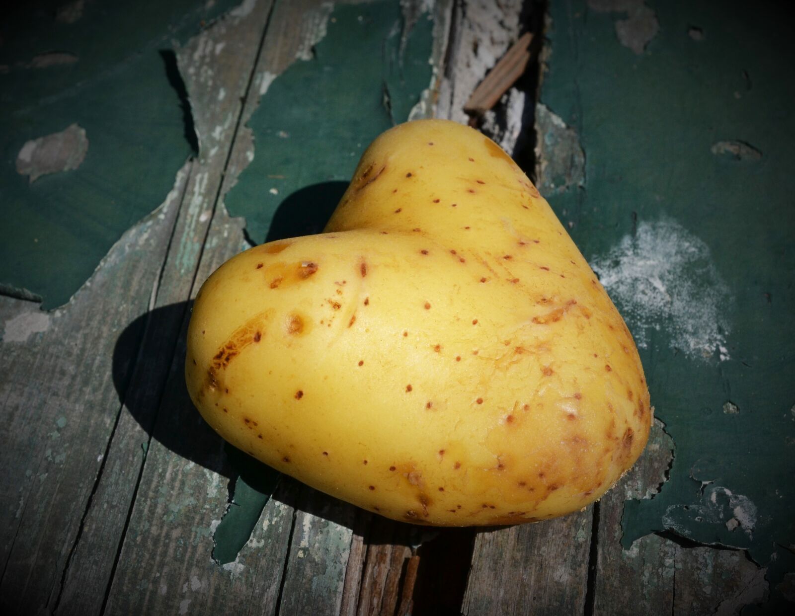 Nikon D3100 sample photo. Heart, potato, love photography