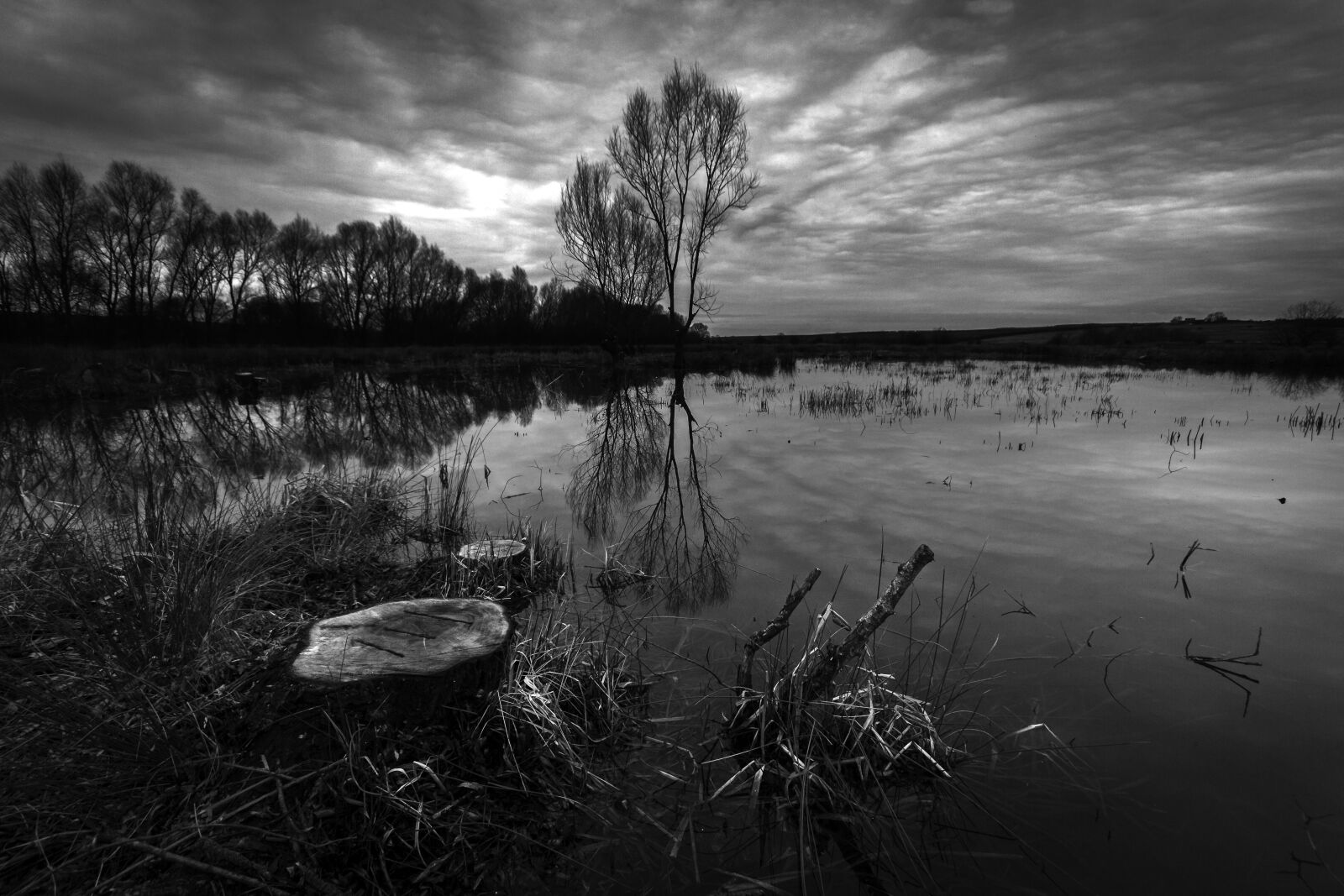 Canon EOS 7D + Sigma 10-20mm F4-5.6 EX DC HSM sample photo. B, w, nature, reflections photography
