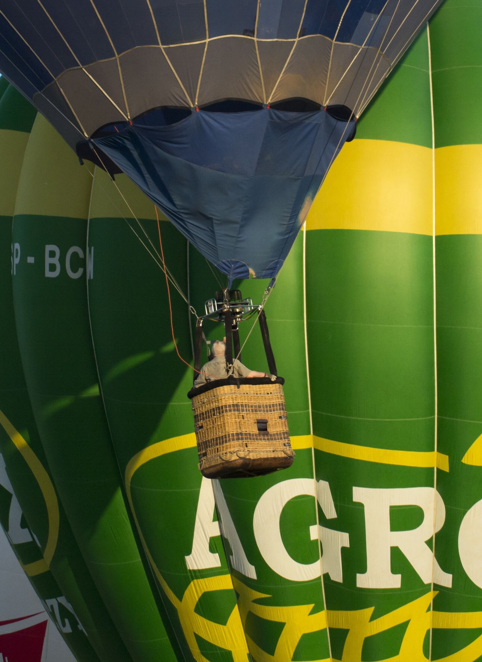Nikon D7100 sample photo. Balloon, games, sky photography