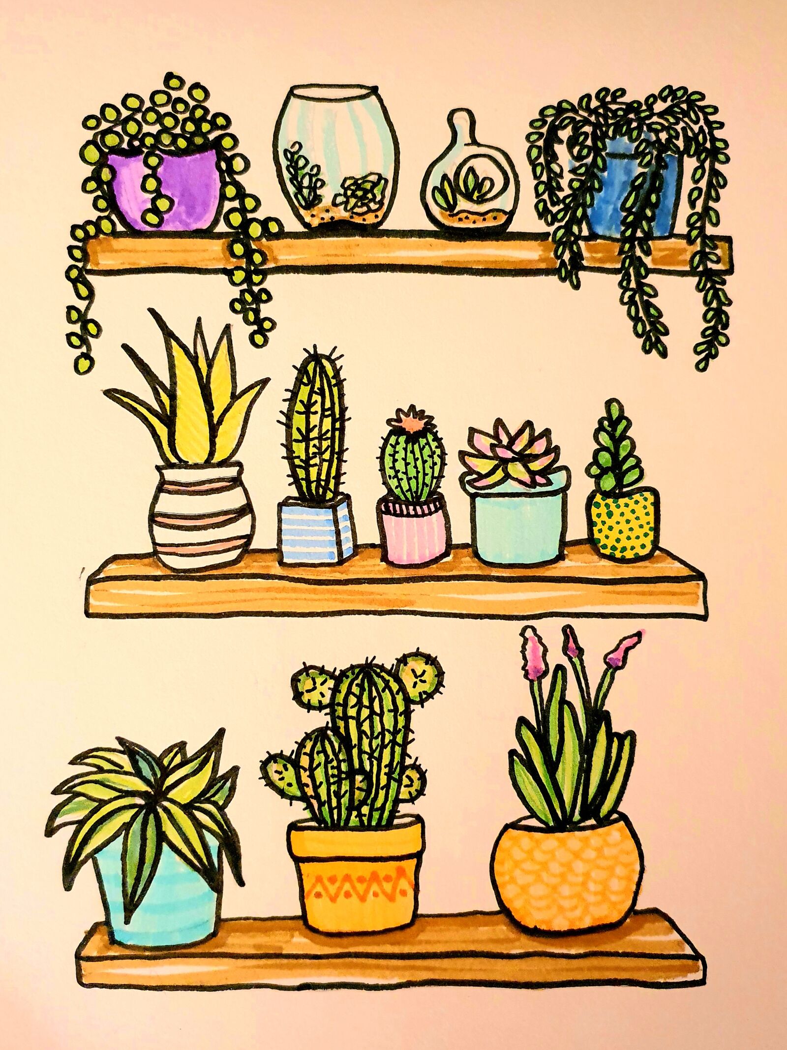 Samsung Galaxy S10 sample photo. Watercolour, plants, succulent photography