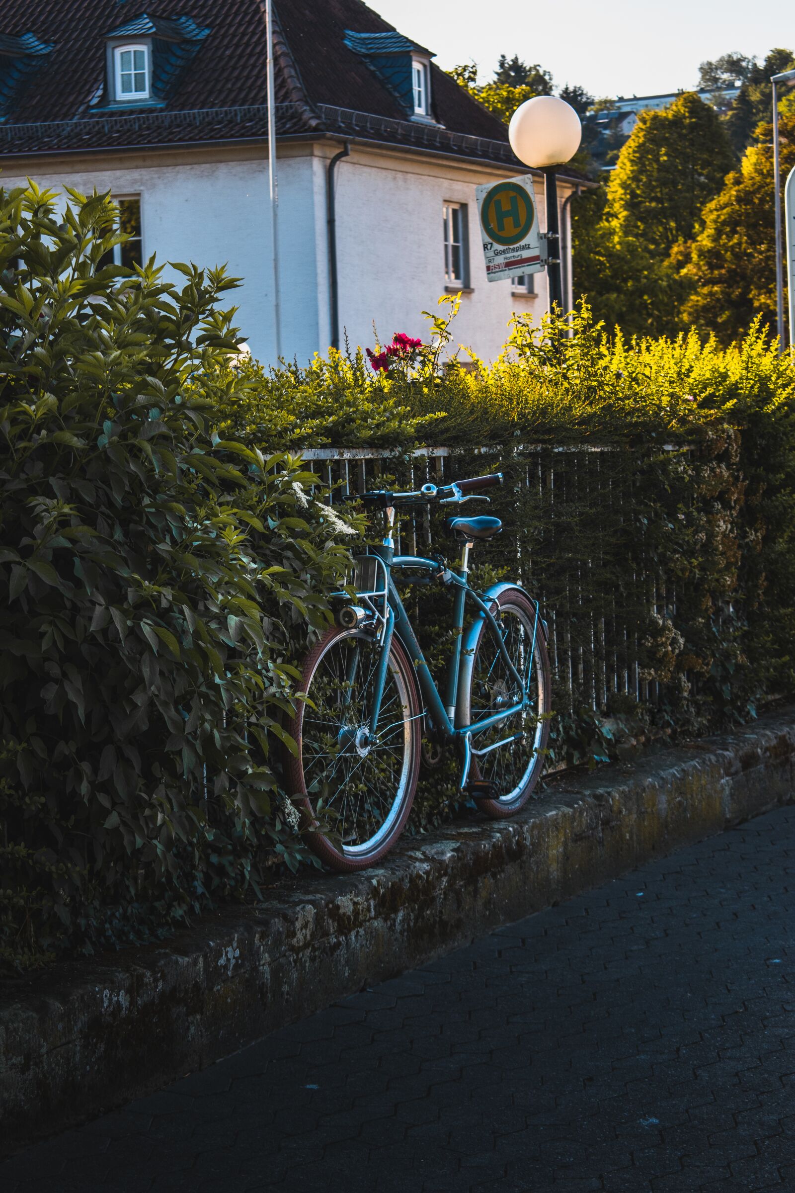 Nikon D5600 sample photo. Bicycle, sunset, outdoors photography